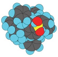 聚合物微球结构.jpg